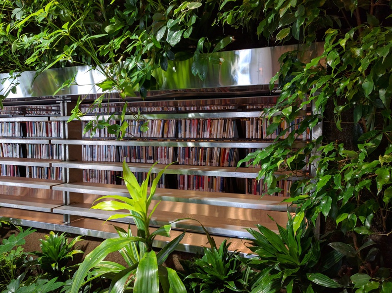 Wall of Green in the middle of the library