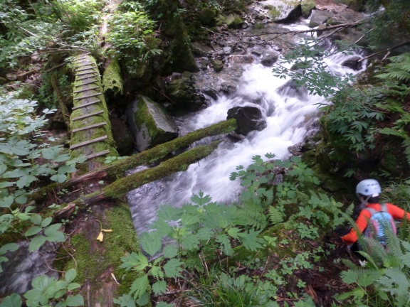 River climbing Dainichi-sawa