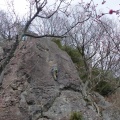 P1060115.JPG -- Clean climbing between bolts - training for Miyakejima
