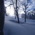 御世仏山 012.JPG -- Out of a fairy tale, this winter forest